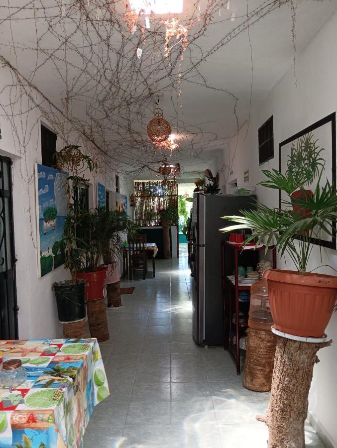 Alojamiento Ya'Ax Nah Playa del Carmen Esterno foto